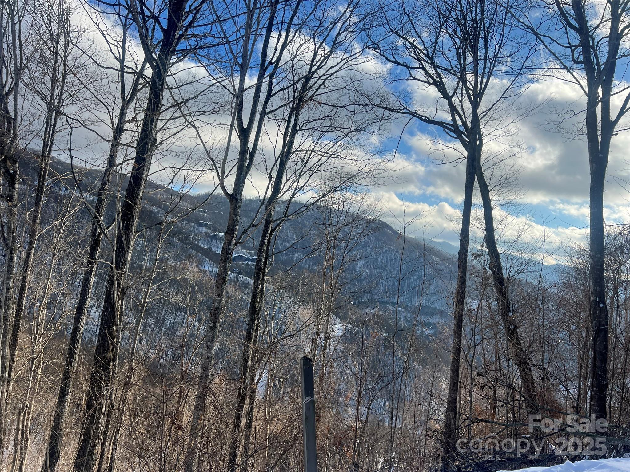Lot 13 Austin Mountain Drive Burnsville NC 21714