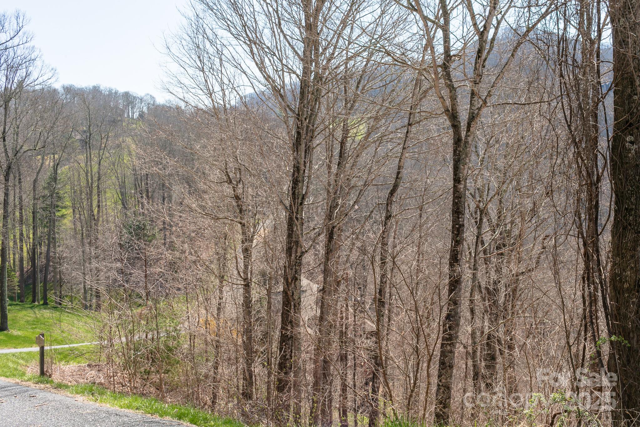 Lot 13 Austin Mountain Drive Burnsville NC 21714