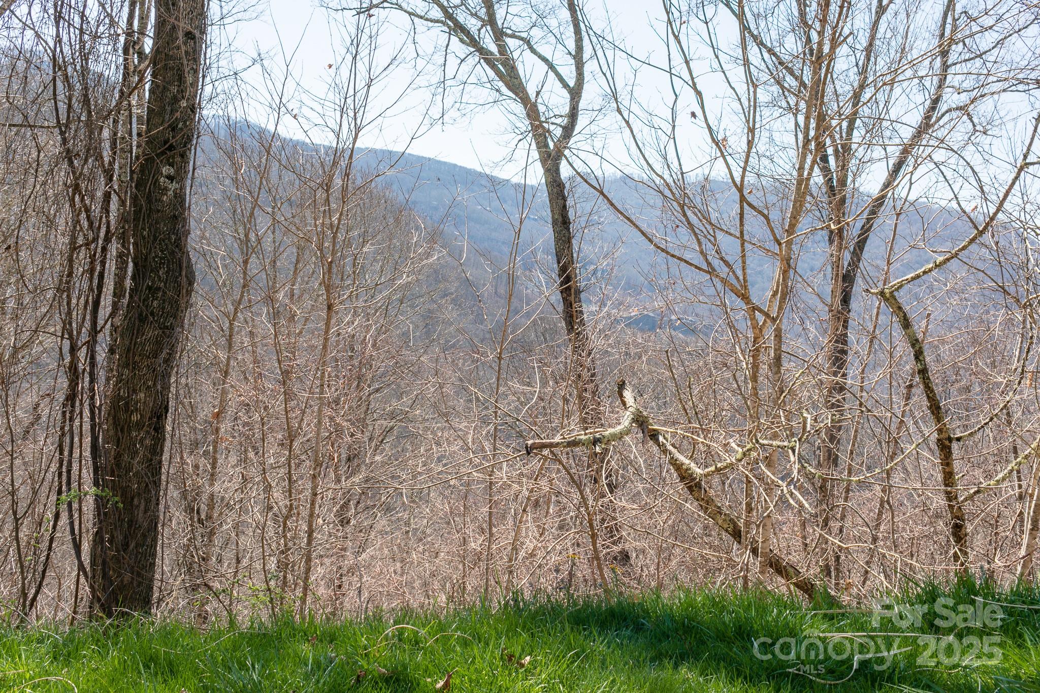Lot 13 Austin Mountain Drive Burnsville NC 21714