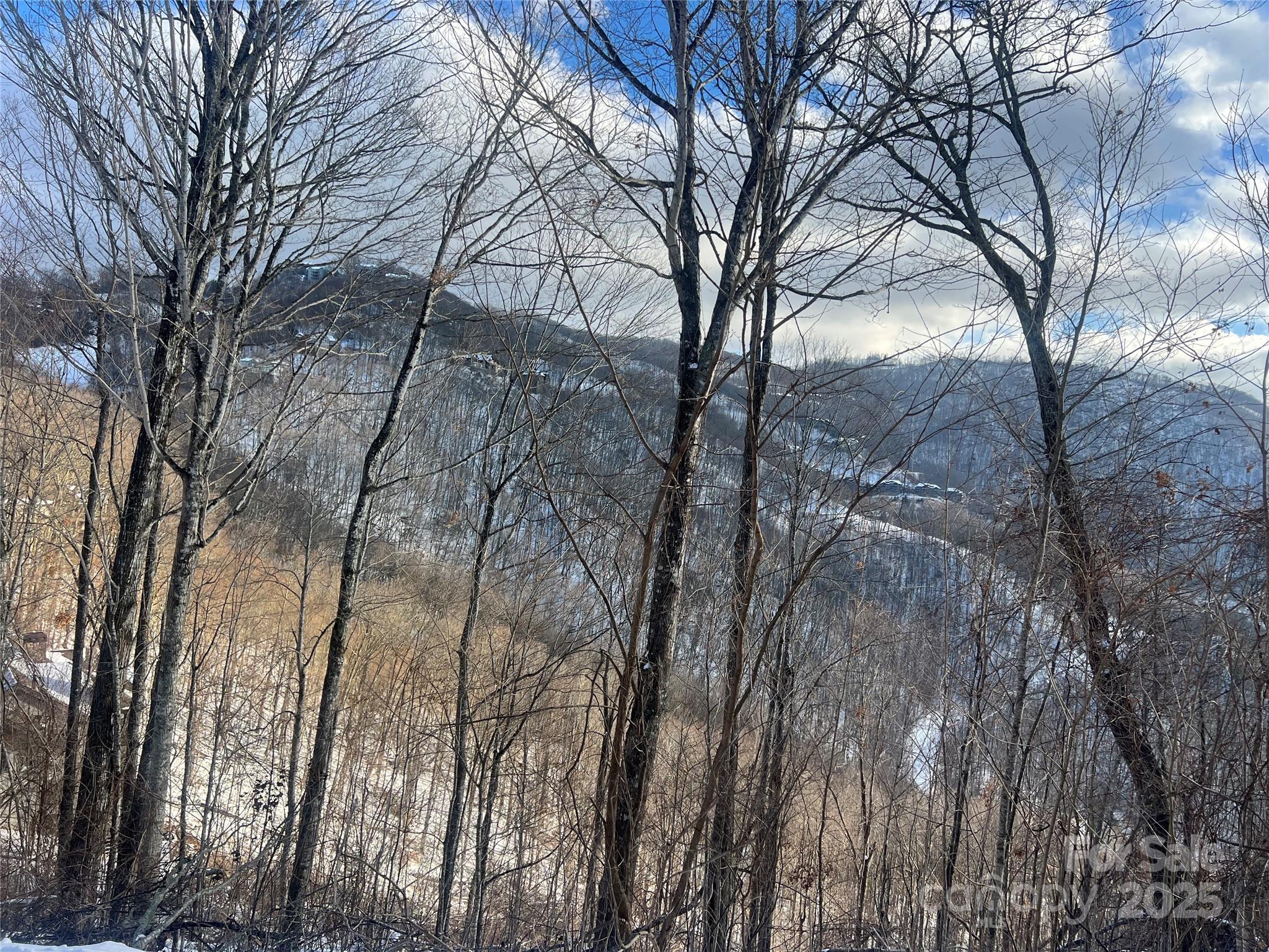 Lot 13 Austin Mountain Drive Burnsville NC 21714