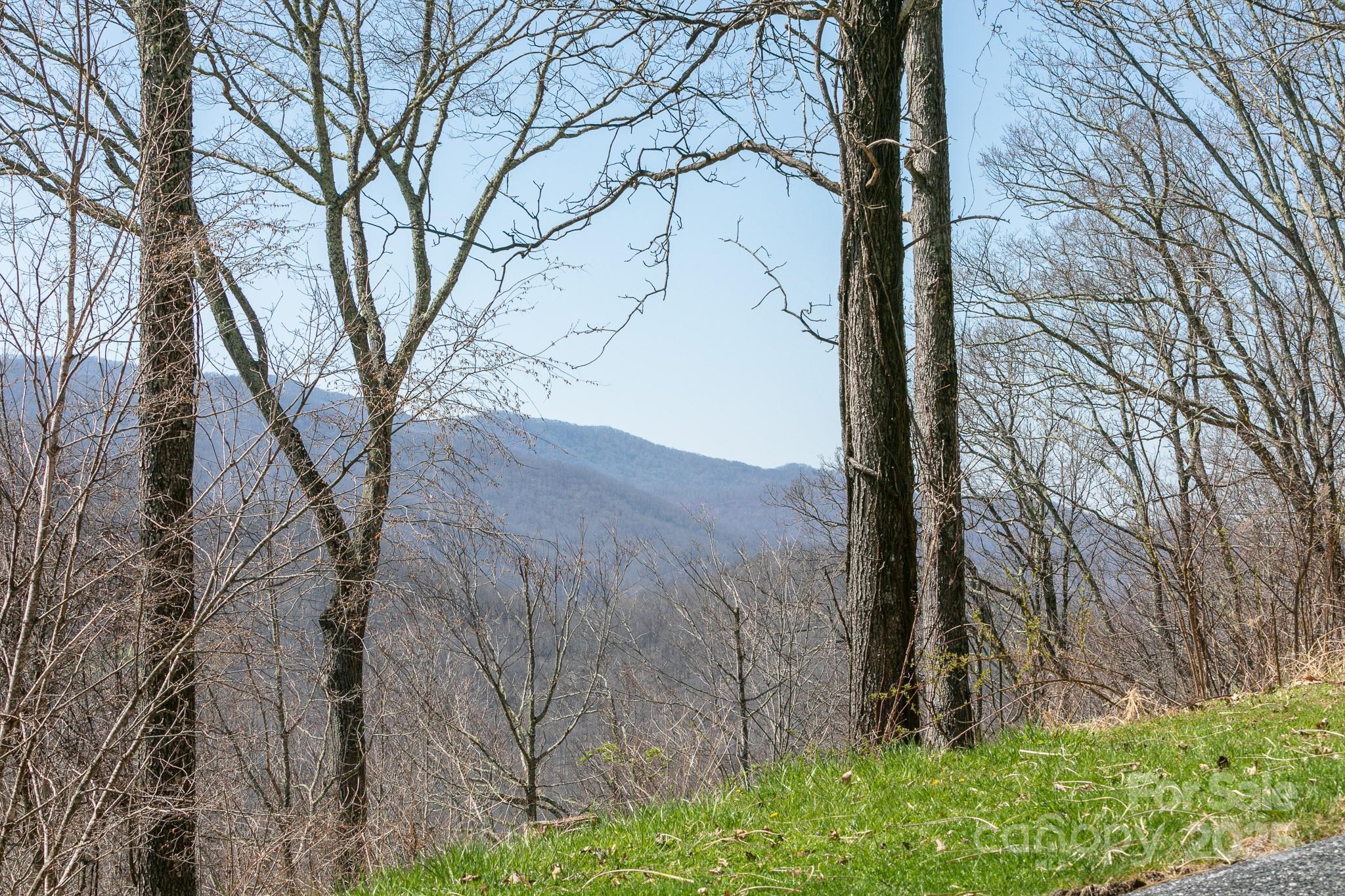 Lot 13 Austin Mountain Drive Burnsville NC 21714
