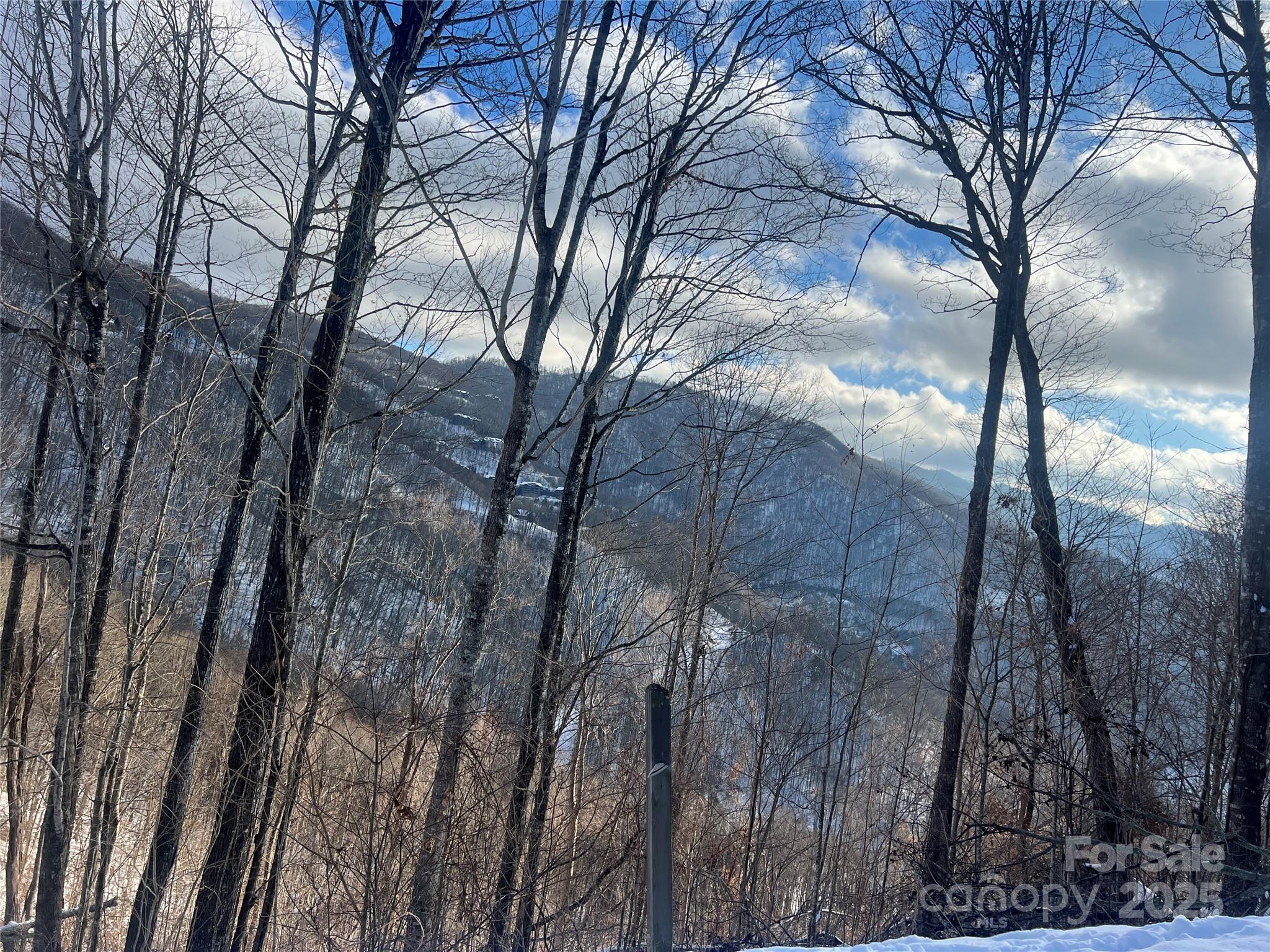 Lot 13 Austin Mountain Drive Burnsville NC 21714
