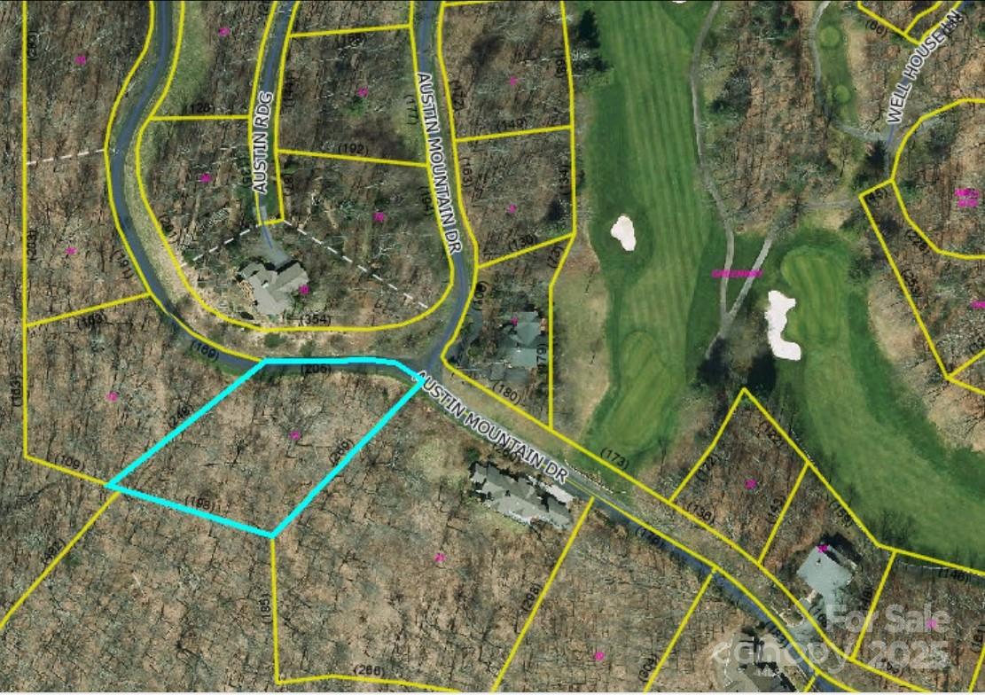 Lot 13 Austin Mountain Drive Burnsville NC 21714