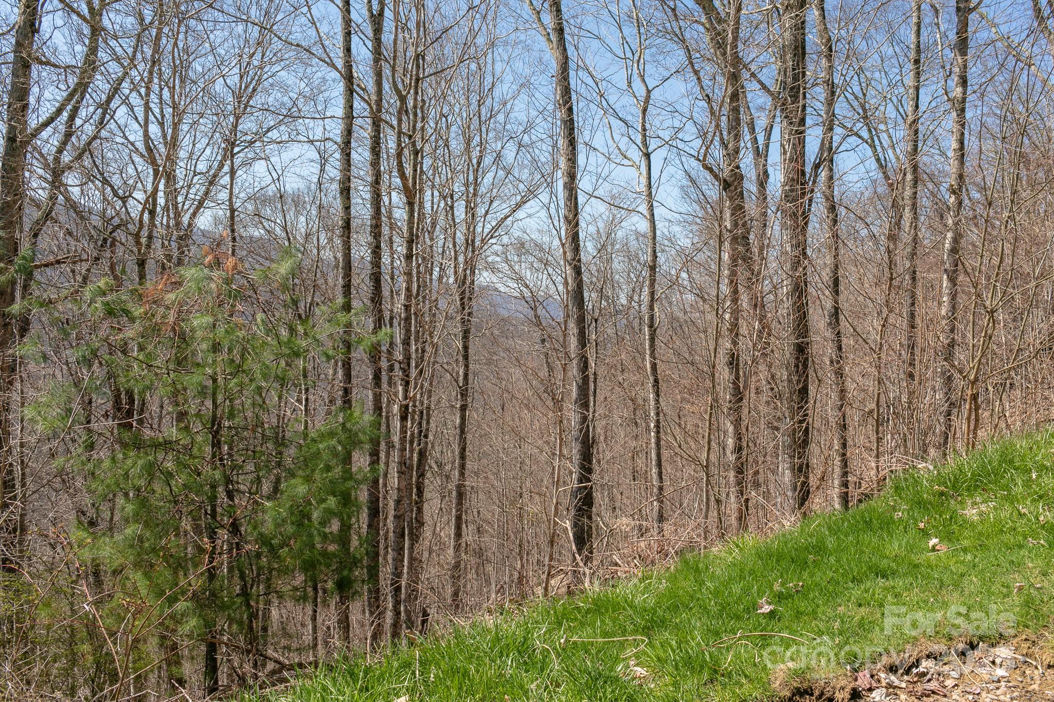 Lot 13 Austin Mountain Drive Burnsville NC 21714