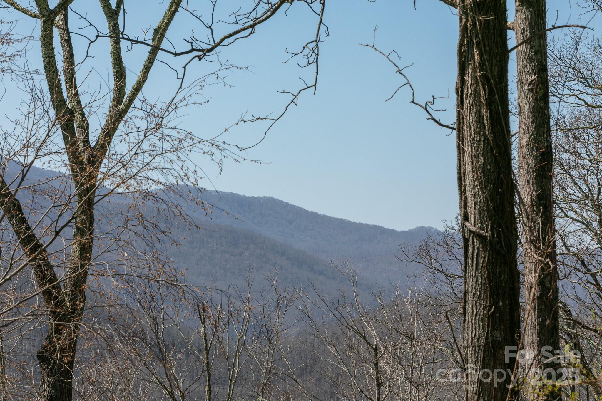 Lot 13 Austin Mountain Drive Burnsville NC 21714