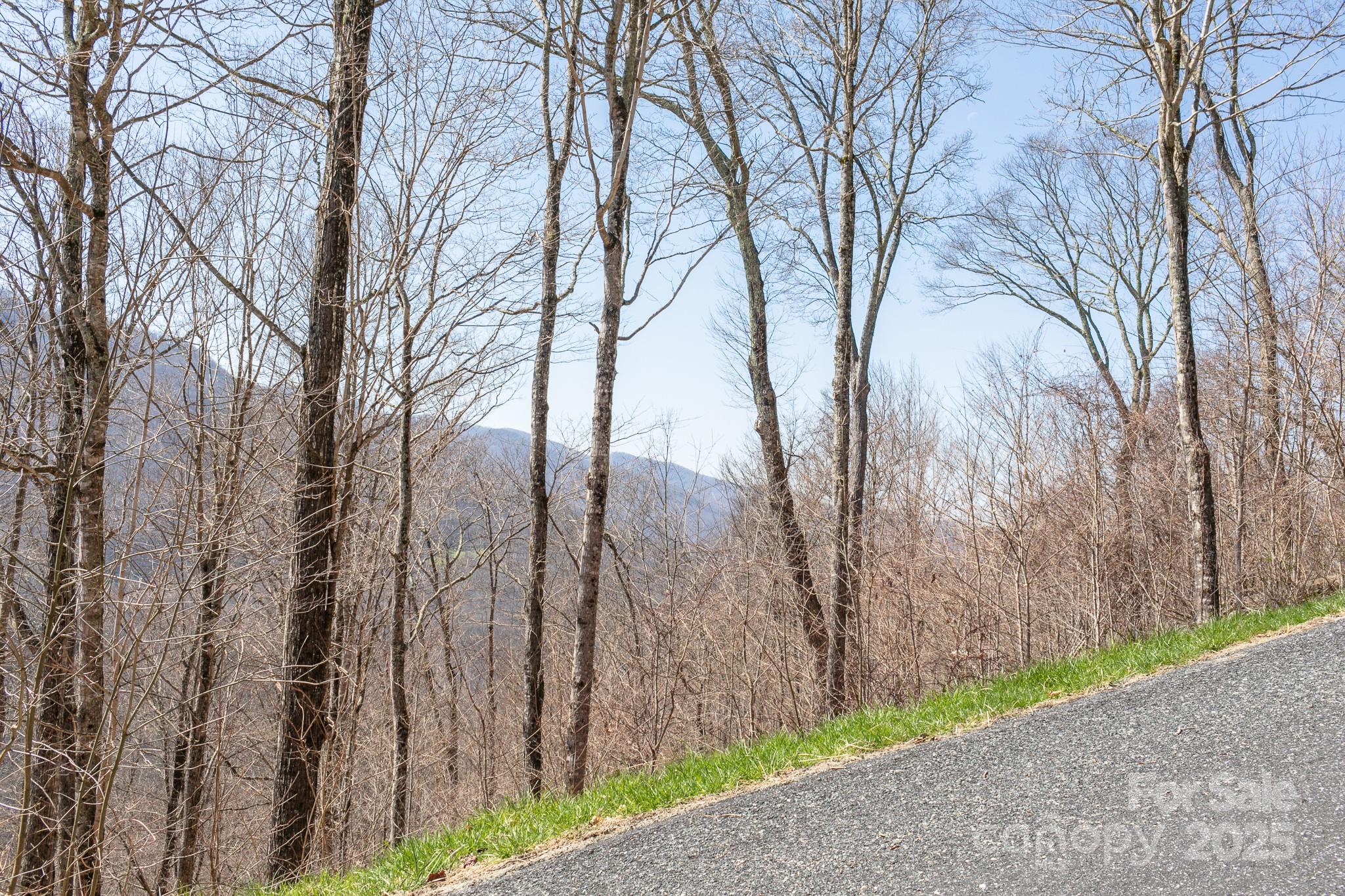 Lot 13 Austin Mountain Drive Burnsville NC 21714