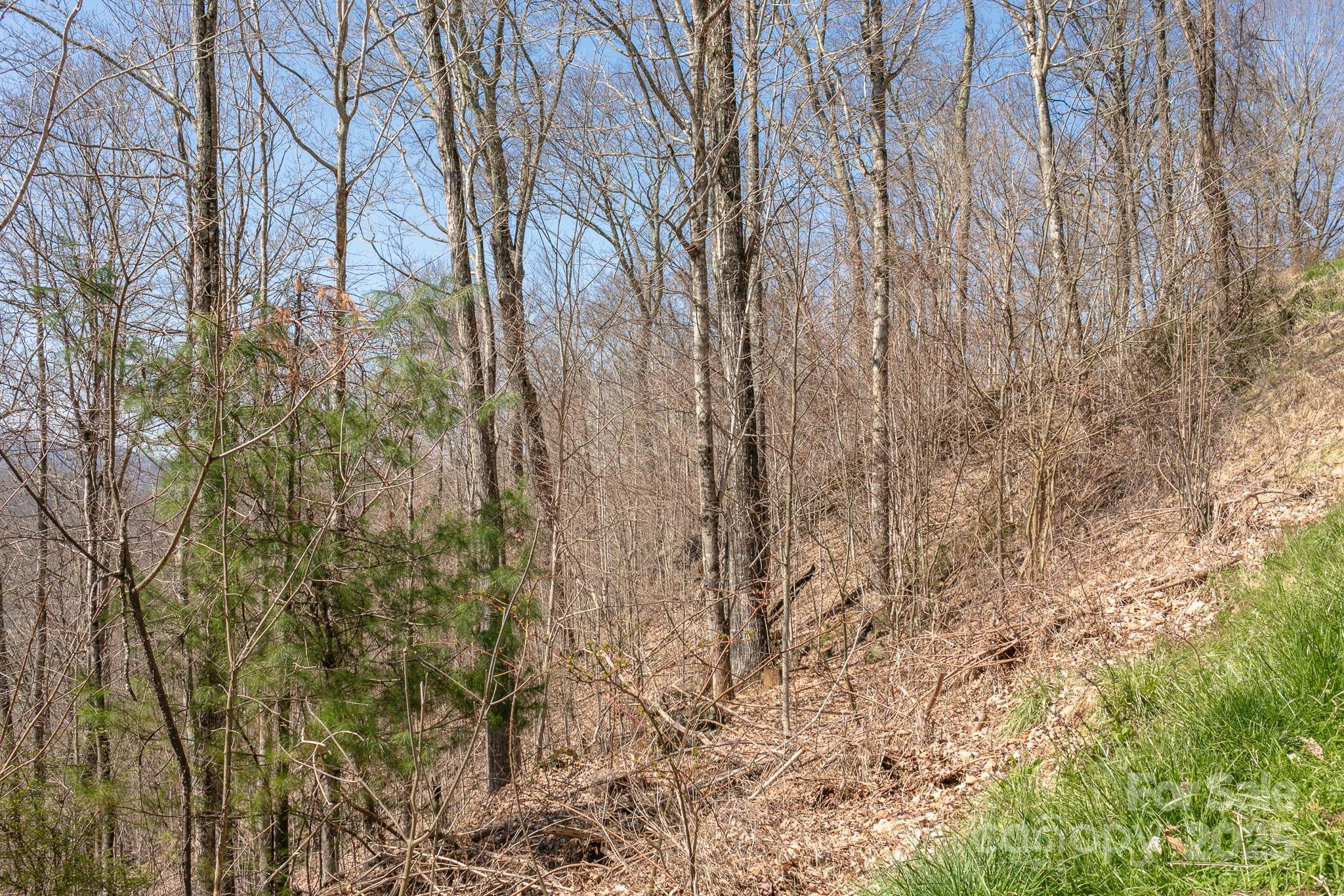 Lot 13 Austin Mountain Drive Burnsville NC 21714