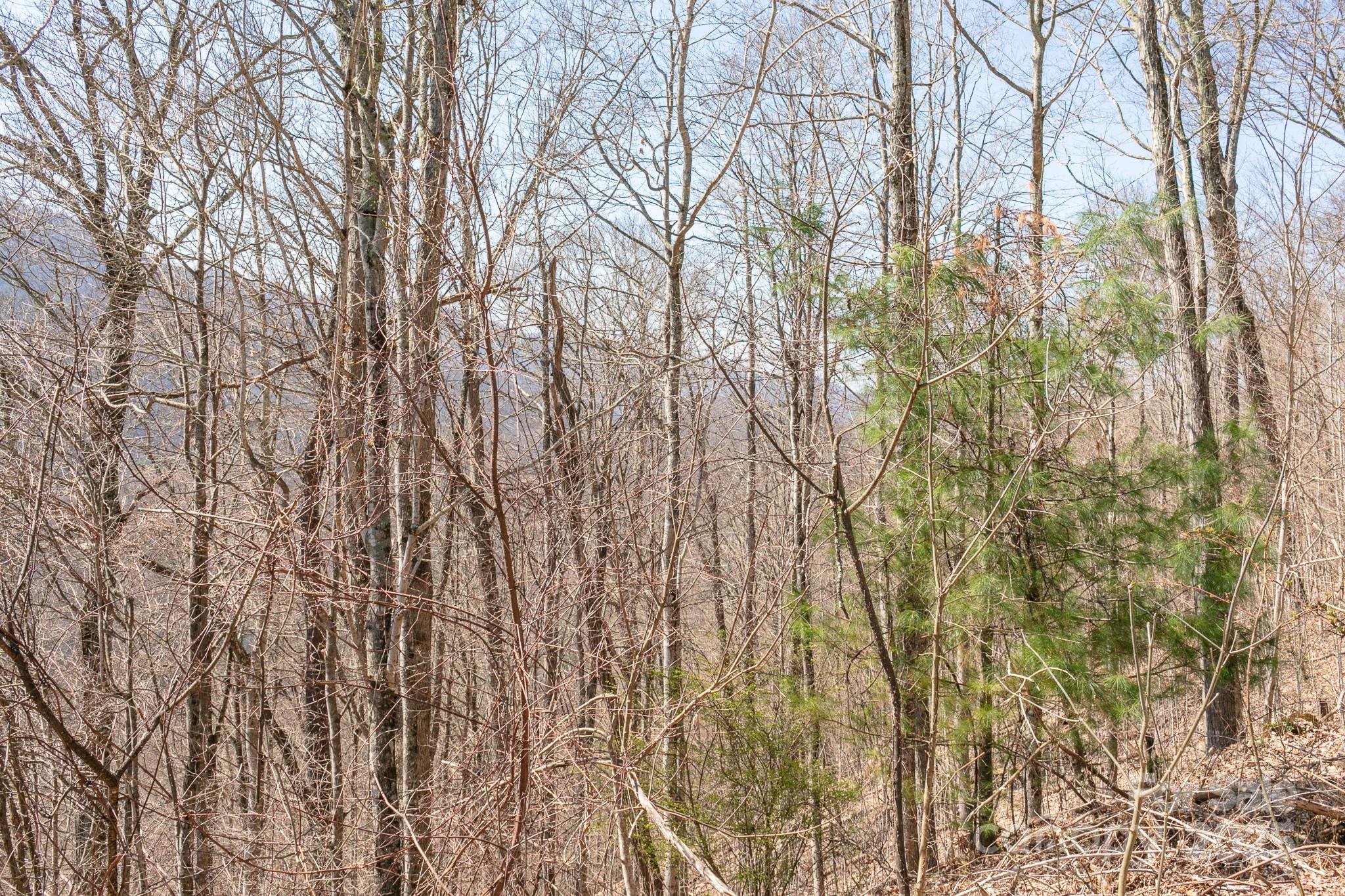 Lot 13 Austin Mountain Drive Burnsville NC 21714