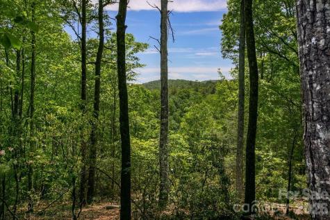 TBD Diamond Creek Road Lake Toxaway NC 28747