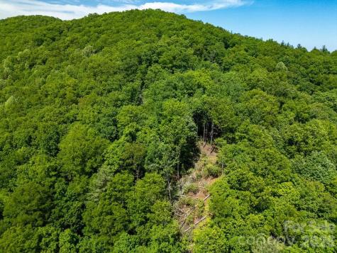 Tbd Diamond Creek Road Lake Toxaway NC 28747
