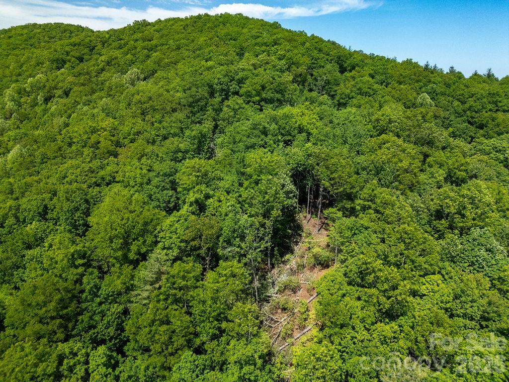 Tbd Diamond Creek Road Lake Toxaway NC 28747