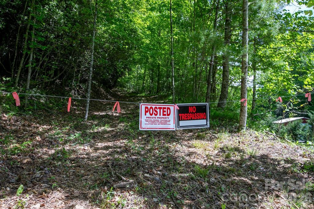 Tbd Diamond Creek Road Lake Toxaway NC 28747