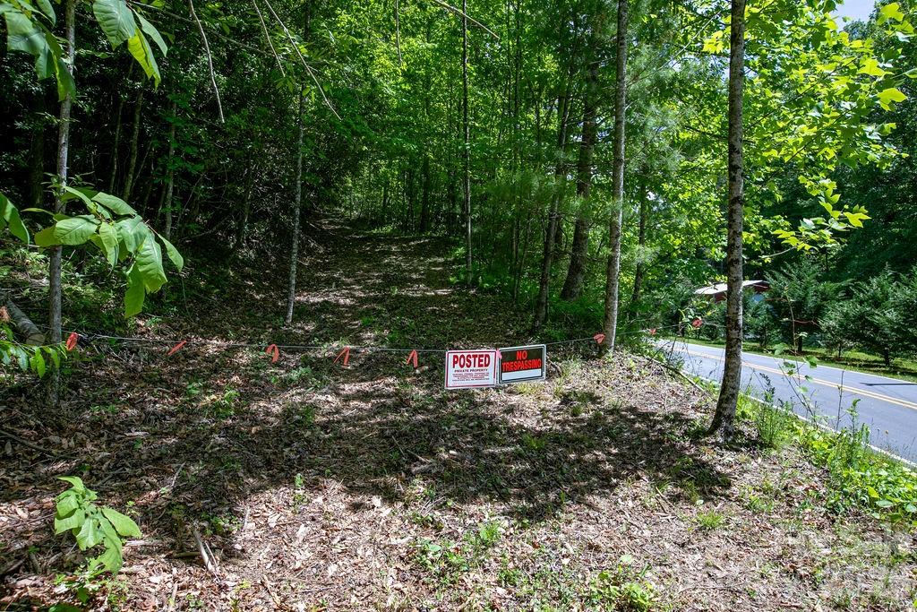 Tbd Diamond Creek Road Lake Toxaway NC 28747