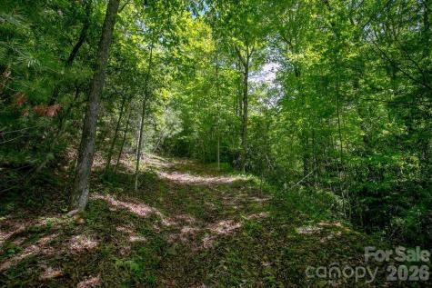 Tbd Diamond Creek Road Lake Toxaway NC 28747