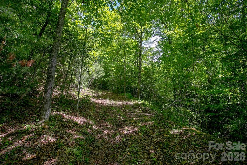 Tbd Diamond Creek Road Lake Toxaway NC 28747