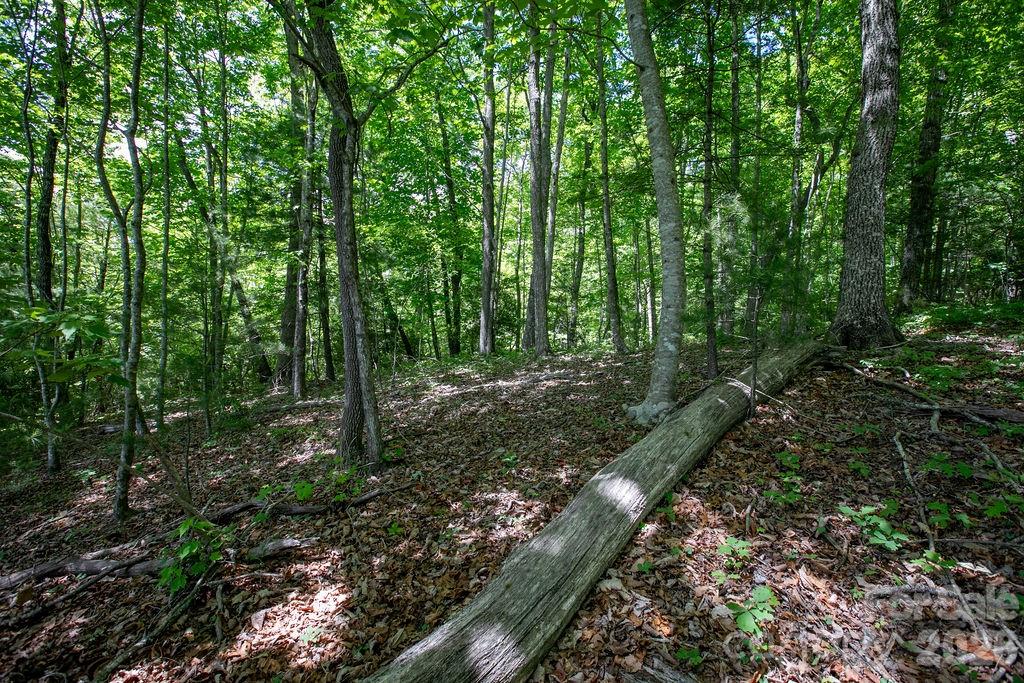 Tbd Diamond Creek Road Lake Toxaway NC 28747