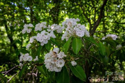 TBD Diamond Creek Road Lake Toxaway NC 28747