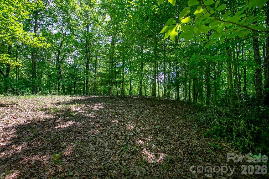 Tbd Diamond Creek Road Lake Toxaway NC 28747