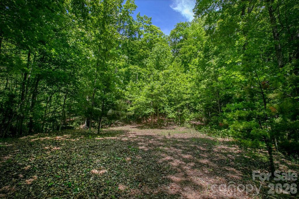 Tbd Diamond Creek Road Lake Toxaway NC 28747