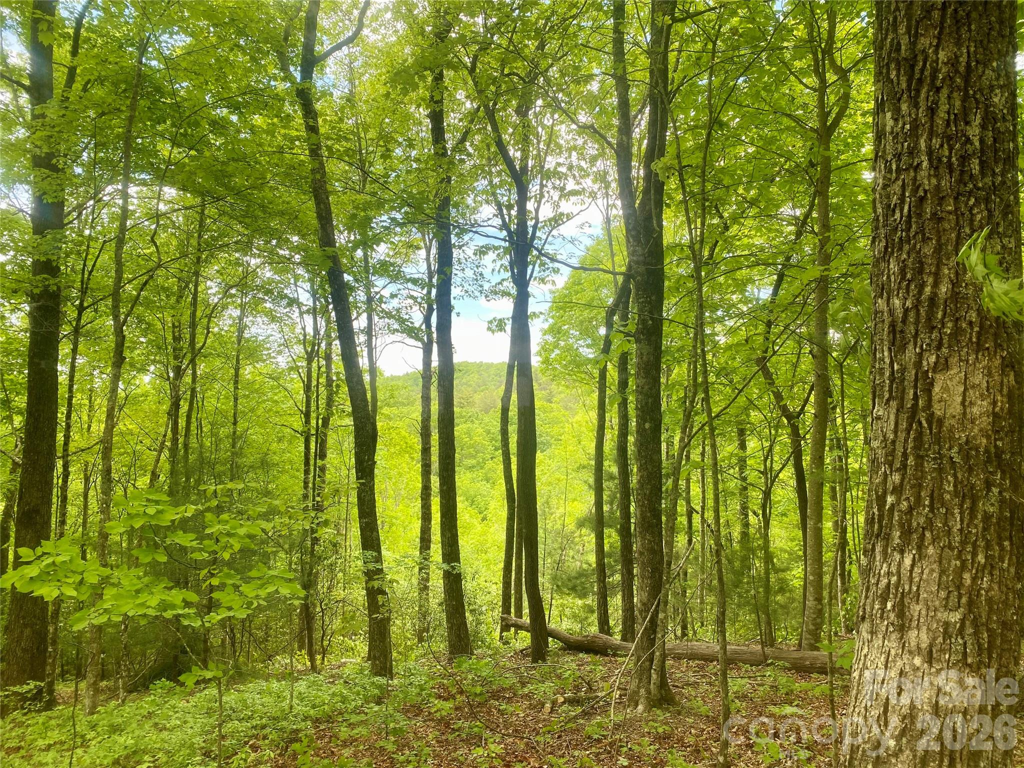 Tbd Diamond Creek Road Lake Toxaway NC 28747