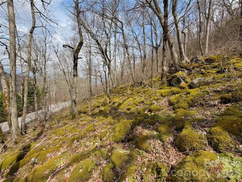 Tbd Grouse Moor Drive Sugar Mountain NC 28604