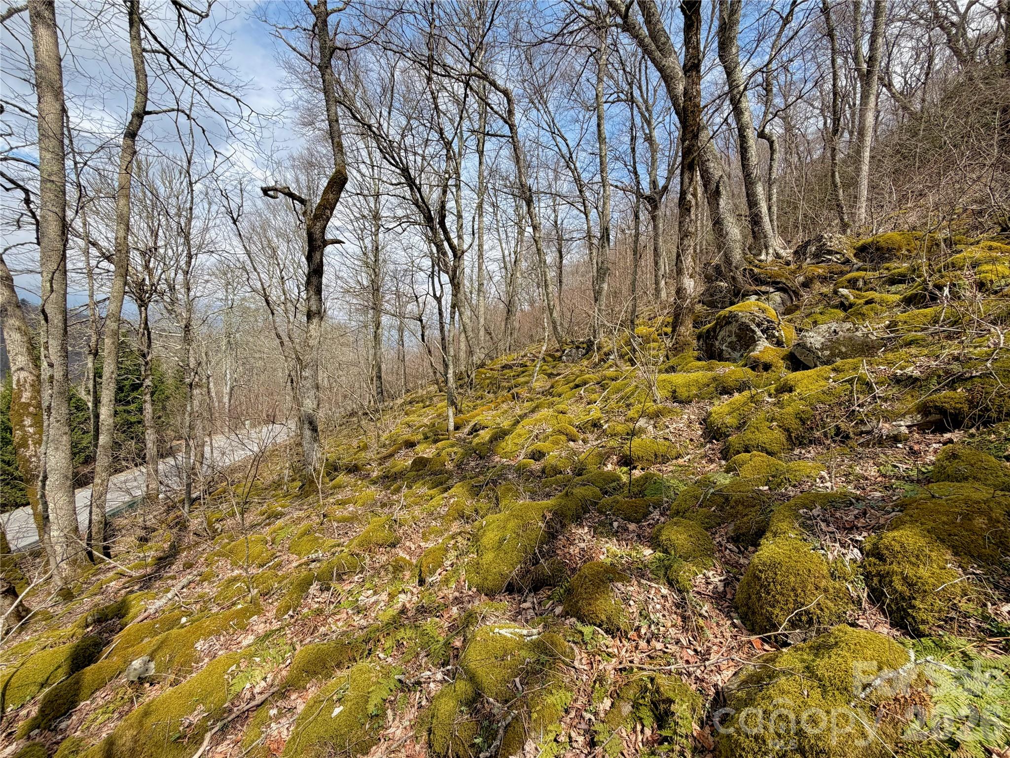 Tbd Grouse Moor Drive Sugar Mountain NC 28604