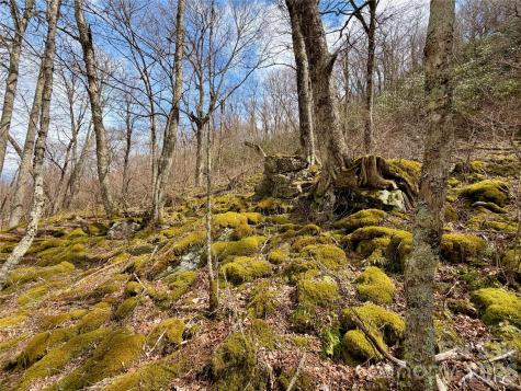 Tbd Grouse Moor Drive Sugar Mountain NC 28604