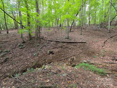 801399 Ivy Road Mills River NC 28759