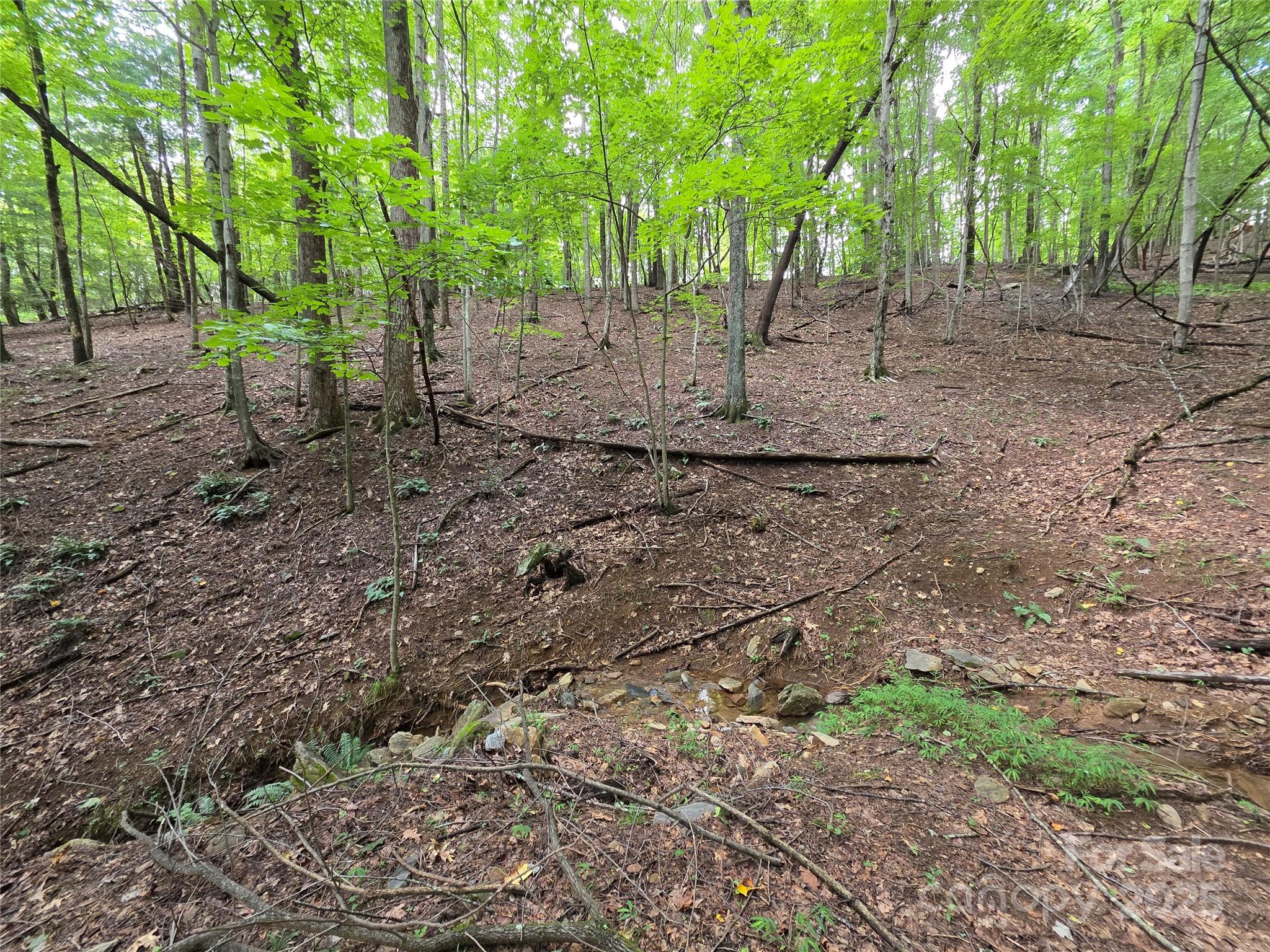 801399 Ivy Road Mills River NC 28759