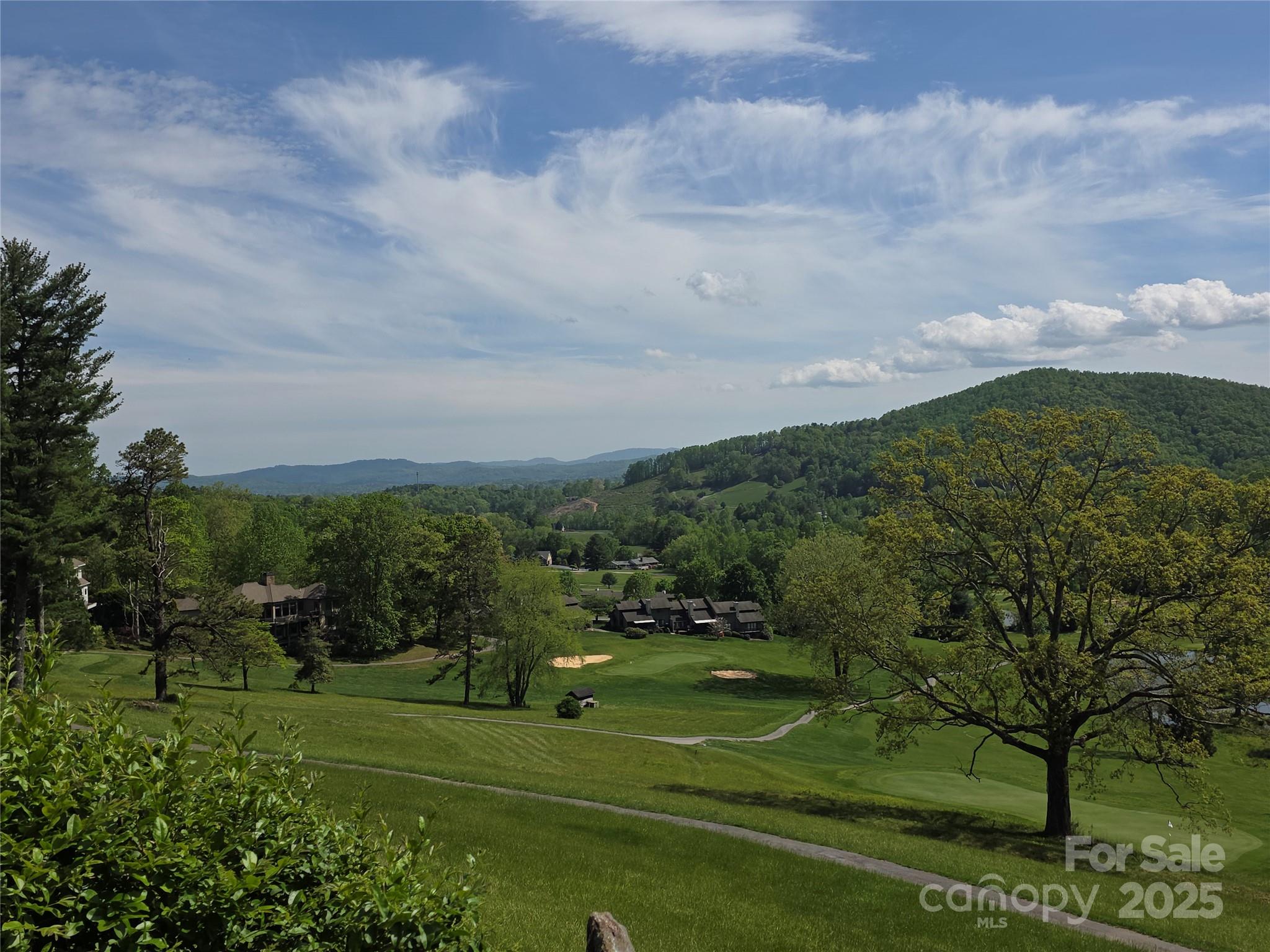 801399 Ivy Road Mills River NC 28759
