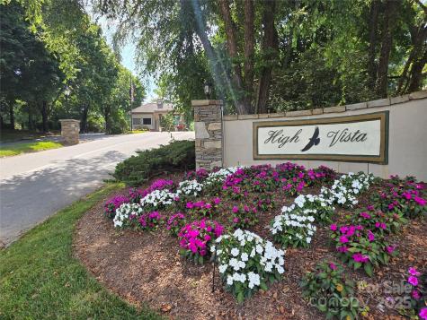 801399 Ivy Road Mills River NC 28759