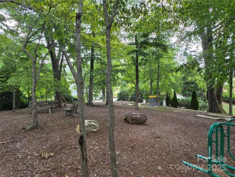 801399 Ivy Road Mills River NC 28759