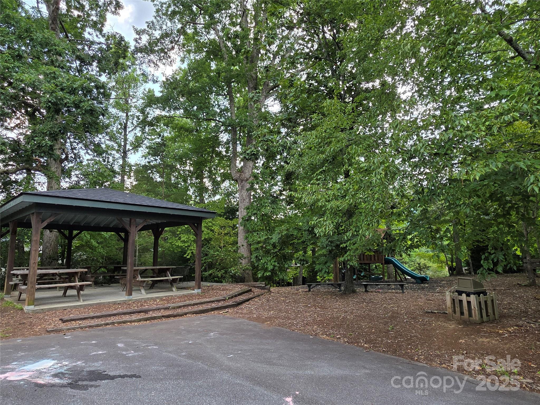 801399 Ivy Road Mills River NC 28759