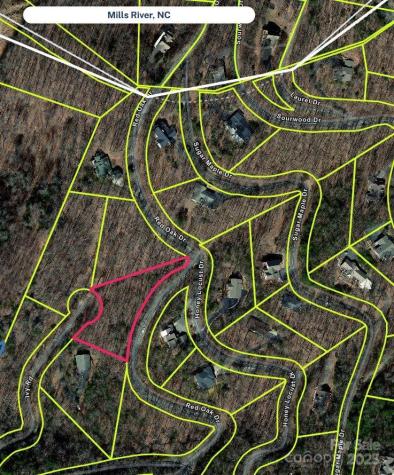 801399 Ivy Road Mills River NC 28759