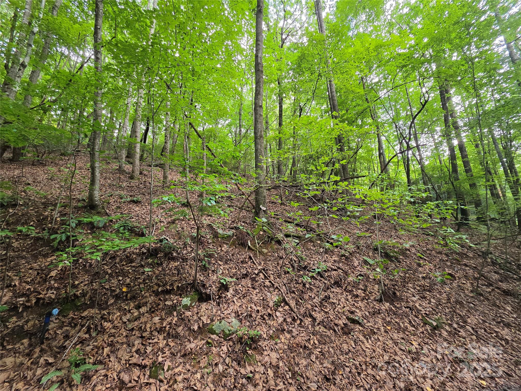 801399 Ivy Road Mills River NC 28759