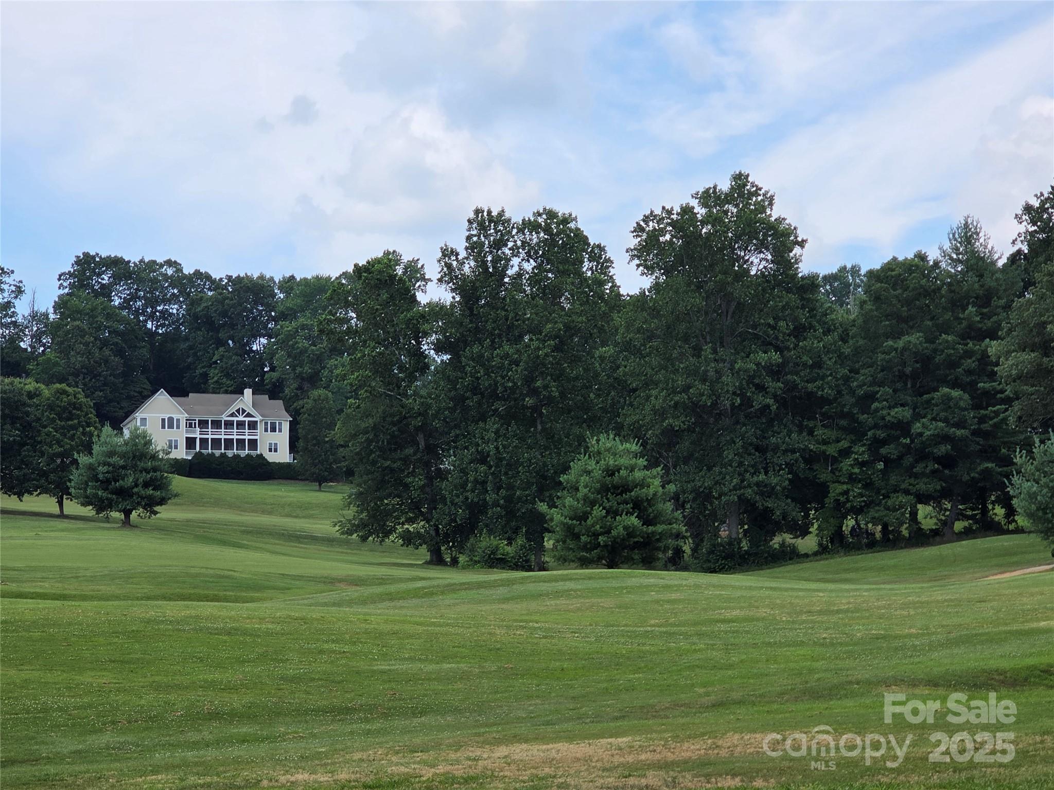 801399 Ivy Road Mills River NC 28759