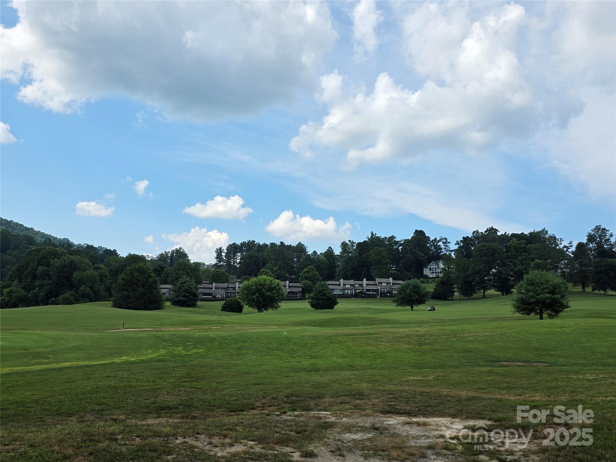 801399 Ivy Road Mills River NC 28759