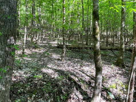 1265 N Burris Road N Sharon SC 29742