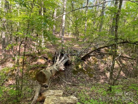 1265 N Burris Road N Sharon SC 29742