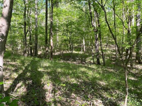 1265 N Burris Road N Sharon SC 29742