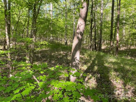 1265 N Burris Road N Sharon SC 29742