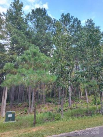 Lot 109 Riverbluff Lane Lilesville NC 28091