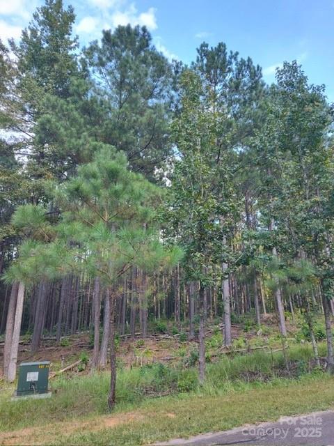 Lot 109 Riverbluff Lane Lilesville NC 28091