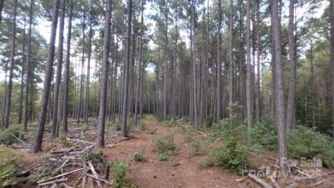 Lot 109 Riverbluff Lane Lilesville NC 28091