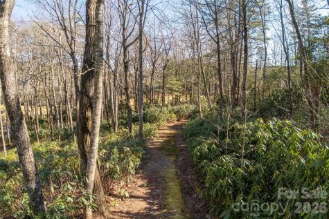 L 9a R Old Mine Point Lake Toxaway NC 28747