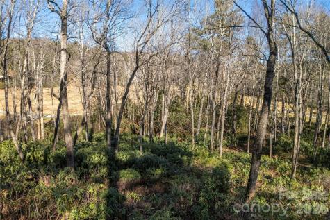 L 9a R Old Mine Point Lake Toxaway NC 28747