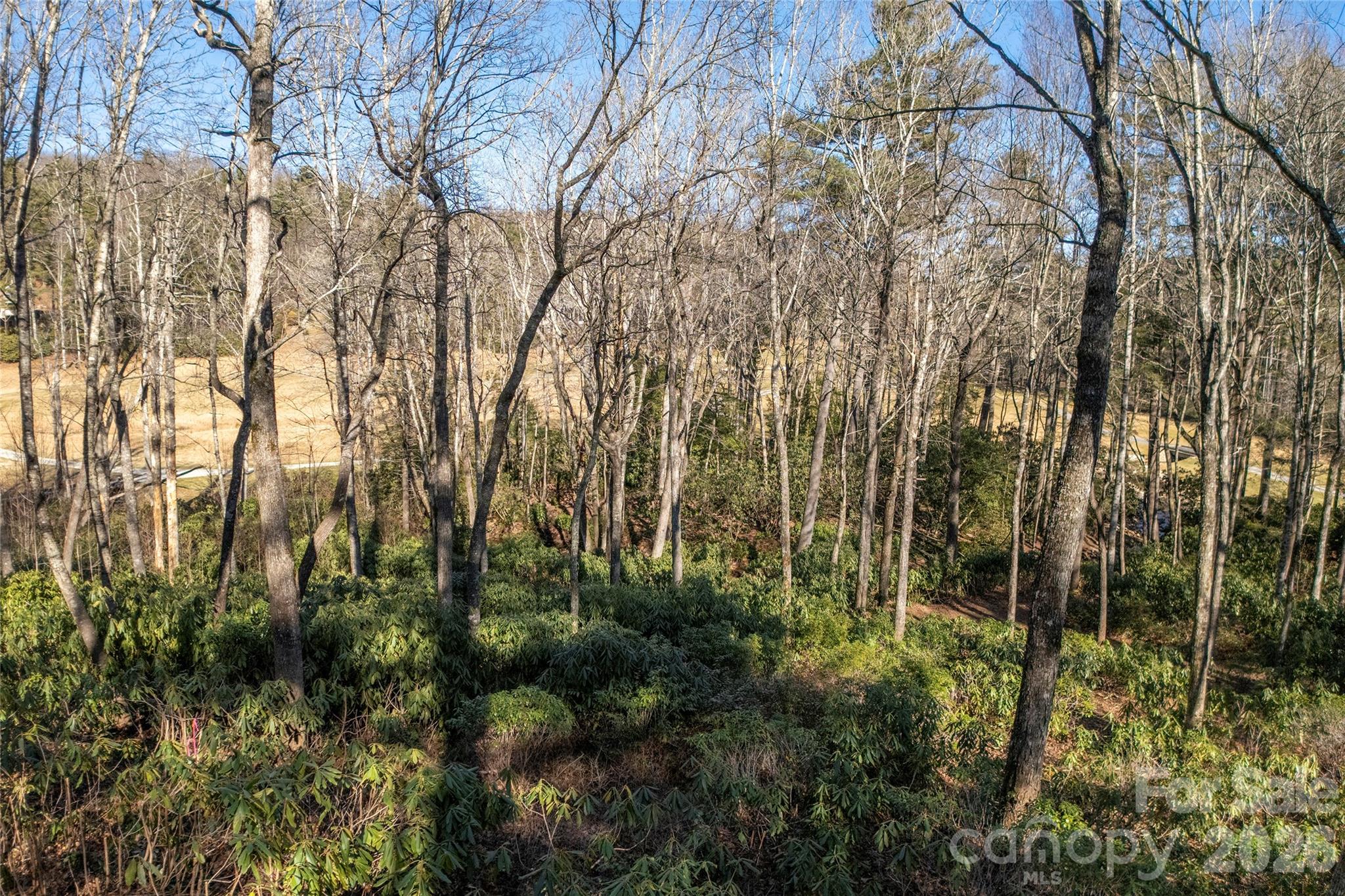 L 9a R Old Mine Point Lake Toxaway NC 28747