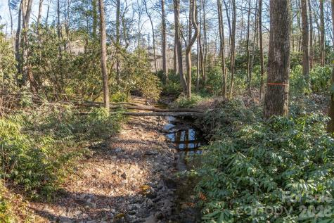 L 9a R Old Mine Point Lake Toxaway NC 28747
