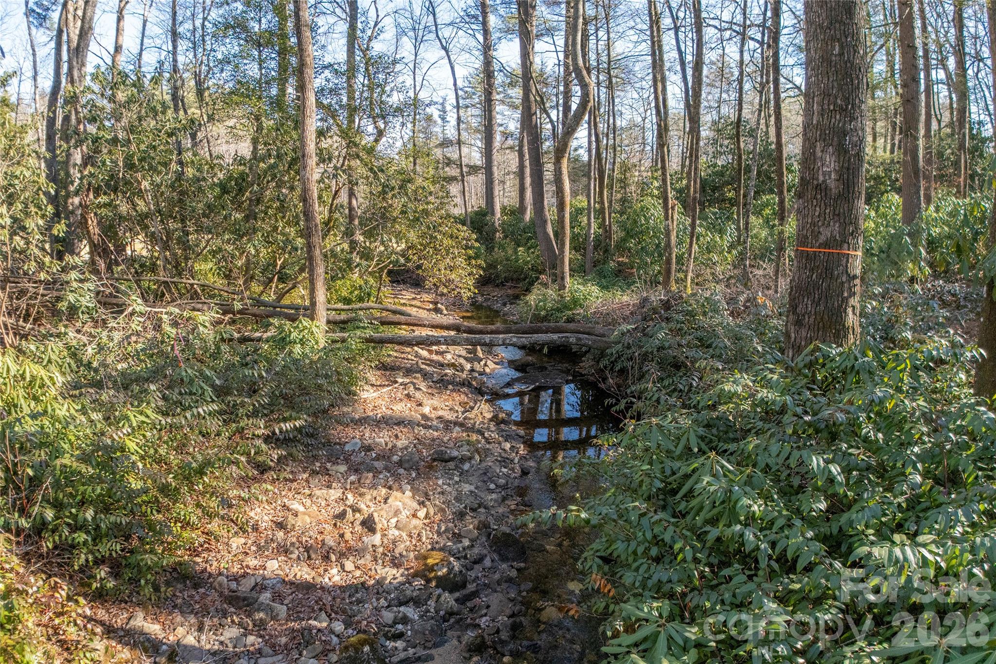 L 9a R Old Mine Point Lake Toxaway NC 28747