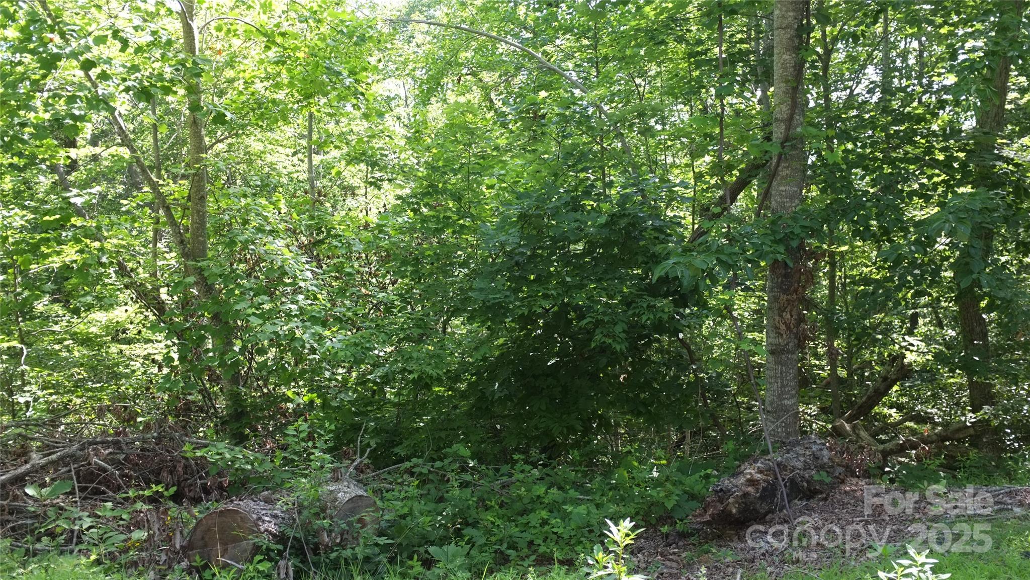 0 Sunset Ridge Drive Columbus NC 28722